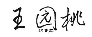 駱恆光王園桃行書個性簽名怎么寫