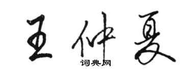 駱恆光王仲夏行書個性簽名怎么寫