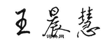 駱恆光王晨慧行書個性簽名怎么寫