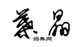 朱錫榮葉晶草書個性簽名怎么寫