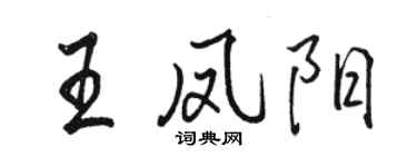 駱恆光王鳳陽行書個性簽名怎么寫