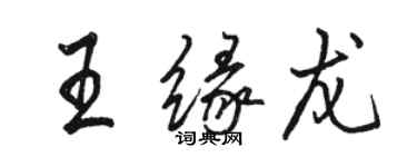 駱恆光王緣龍行書個性簽名怎么寫