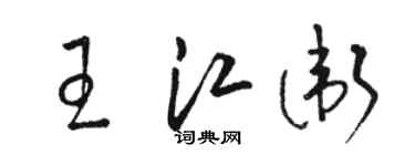 駱恆光王江衛草書個性簽名怎么寫