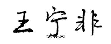 曾慶福王寧非行書個性簽名怎么寫