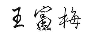 駱恆光王富梅行書個性簽名怎么寫