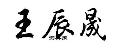 胡問遂王辰晟行書個性簽名怎么寫