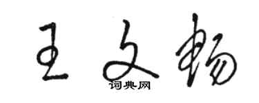 駱恆光王文暢草書個性簽名怎么寫