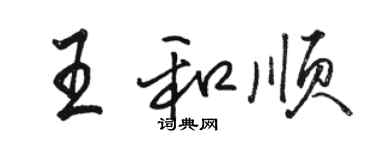 駱恆光王和順行書個性簽名怎么寫