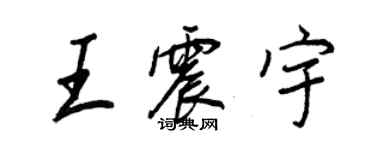 王正良王震宇行書個性簽名怎么寫