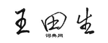 駱恆光王田生行書個性簽名怎么寫