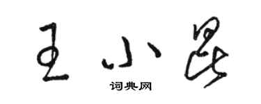 駱恆光王小昆草書個性簽名怎么寫