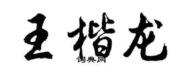 胡問遂王楷龍行書個性簽名怎么寫