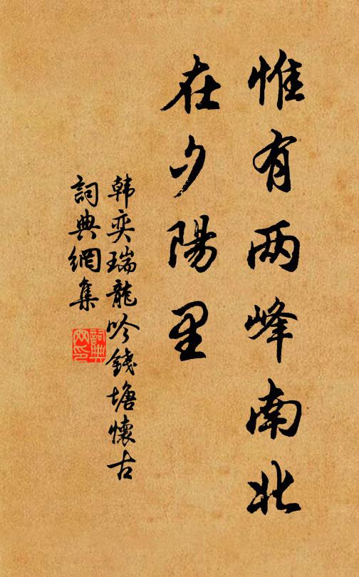 魂離不得空成病，面見無由浪寄書 詩詞名句