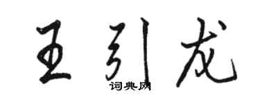 駱恆光王引龍行書個性簽名怎么寫