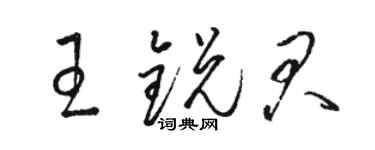 駱恆光王銳君草書個性簽名怎么寫