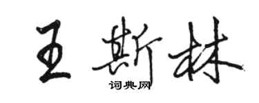 駱恆光王斯林行書個性簽名怎么寫