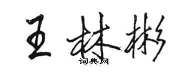 駱恆光王林彬行書個性簽名怎么寫
