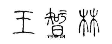 陳聲遠王智林篆書個性簽名怎么寫