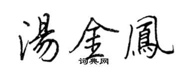 王正良湯金鳳行書個性簽名怎么寫