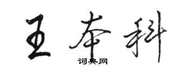 駱恆光王本科行書個性簽名怎么寫