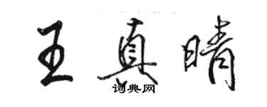 駱恆光王真晴行書個性簽名怎么寫