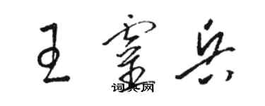 駱恆光王靈兵草書個性簽名怎么寫