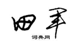 朱錫榮田軍草書個性簽名怎么寫