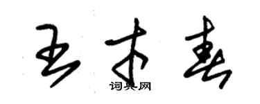 朱錫榮王才春草書個性簽名怎么寫