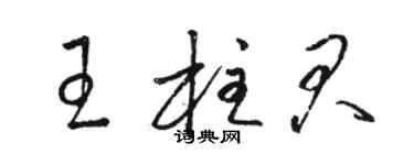 駱恆光王柱君草書個性簽名怎么寫