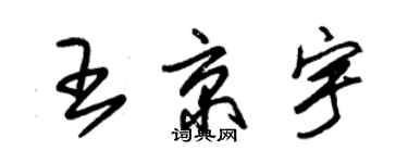 朱錫榮王京宇草書個性簽名怎么寫