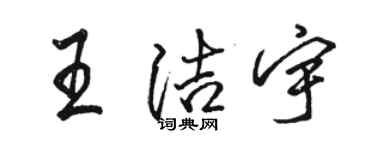 駱恆光王潔宇行書個性簽名怎么寫