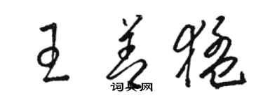 駱恆光王善猛草書個性簽名怎么寫