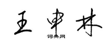 梁錦英王申林草書個性簽名怎么寫