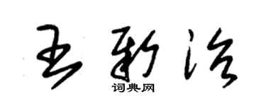 朱錫榮王新治草書個性簽名怎么寫