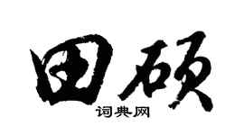 胡問遂田碩行書個性簽名怎么寫