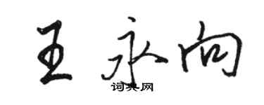 駱恆光王永向行書個性簽名怎么寫