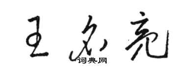 駱恆光王名亮草書個性簽名怎么寫