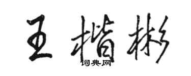 駱恆光王楷彬行書個性簽名怎么寫