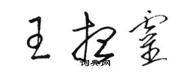 駱恆光王想靈草書個性簽名怎么寫