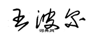 朱錫榮王波爾草書個性簽名怎么寫