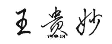 駱恆光王貴妙行書個性簽名怎么寫