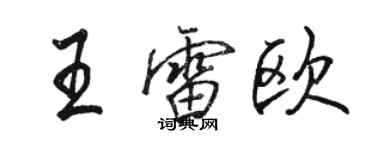 駱恆光王雷歐行書個性簽名怎么寫