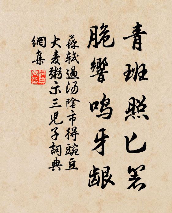 憑誰邀上東岩宿，更約花時命杖藤 詩詞名句