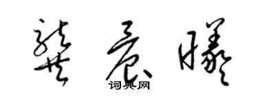 梁錦英龔晨曦草書個性簽名怎么寫