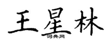 丁謙王星林楷書個性簽名怎么寫