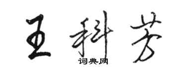 駱恆光王科芳行書個性簽名怎么寫