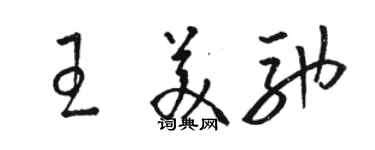 駱恆光王美馳草書個性簽名怎么寫