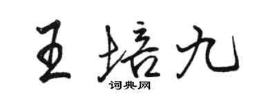 駱恆光王培九行書個性簽名怎么寫