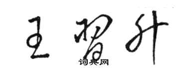 駱恆光王習升草書個性簽名怎么寫