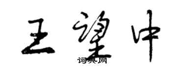 曾慶福王望中行書個性簽名怎么寫